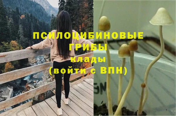 меф Гусев